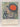 Biological Science: processes and patterns of life by O. F. Jenkins,G. A. Knox,A. W. Torrie,K. M. Woodward,G. G. Clark