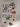 Coral Reef Fishes: Indo-Pacific and Caribbean by Ewald Lieske,Robert Myers