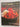 50 Great Curries of India by Camellia Panjabi