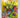 Ninja Toys (Ninja Kid 7) by Anh Do