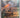 Desert Storm: The Gulf War in Colour by Sergio Romano