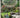 Thomas Mawson: Life, gardens and landscapes by Janet Waymark