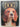 Encyclopaedia of the Dog by Richard Marples