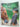 The Joy of Horses : A Beginner's Guide to Safe and Responsible Horsemanship by Joy Roberts