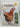 Chicken Manual: The complete step-by-step guide to keeping chickens (Haynes Manuals) by Laurence Beeken