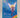 Storm the Lightning Fairy (Rainbow Magic)  by Daisy Meadows, Georgie Ripper