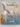 Sea Birds (Fact Finders) by Joe Firmin, Peter Warner