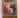 Generous Death by Nancy Pickard