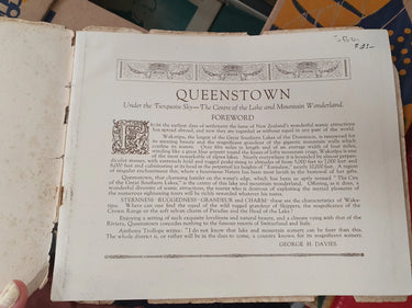 Queenstown the centre of the lake & mountain wonderland by George H Davies - Book Express - Used Print Books