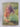 Princess Anne: a girl of our time by Anne Matheson and Reginald Davis