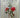 Early New Zealand Botanical Art by F. Bruce Sampson