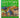 The Concise History Encyclopedia by Julian Holland, Norman Brooke
