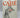 The Little Drummer Girl by John le Carré