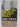 Double Fault by Lionel Shriver