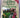 Complete Book of Gardening by Michael Wright