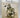 As for Me and My House: A Salute to Early Gisborne Salvation Army Families, 1886 to 1952 by Joan Hutson