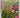 Garden Tips: A Month by Month Guide by unknown author
