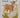 The happy goat by John Kershaw