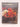 50 Great Curries of India by Camellia Panjabi
