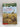 Lions at Lunchtime (Magic Tree House #11) by Mary Pope Osborne, Sal Murdocca