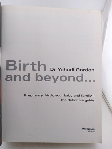 Birth and Beyond by Yehudi Gordon