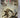 North from Taranto: New Zealand and the liberation of Italy, 1943-45 by John Crawford