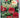 The A-Z of Gardening in New Zealand by W. G. Sheat, Hugh Redgrove (editor)