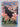 Buck: The Wayne Shelford story as told to Wynne Gray by Wayne Shelford, Wynne Gray