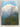 Vegetation of Egmont National Park New Zealand by Bruce D. Clarkson