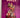 The Collector's Encyclopedia of Dolls by Dorothy S. Coleman, Elizabeth A. Coleman