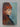 The Virgin Blue by Tracy Chevalier