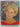 Diana: a tribute to the people's princess by Peter Donnelly