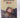 The Denniston Rose by Jenny Pattrick