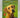Dogs are Smarter Than Jack by Jenny Campbell, Lisa Richardson