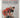 Anatomy of Exercise by Pat Manocchia (Copy)