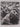 The Home Front: Germany (World War II Series) by Charles Whiting