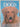 The Pictorial Encyclopedia of Dogs by Claudia Long, Britt Strader