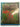 Colour in Your Garden by Penelope Hobhouse