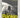 Watchman by Ian Rankin