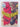 Boomerang (War Picture Library) No 965 by Unknown