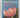 Proteas for pleasure: how to grow and identify them by Sima Eliovson