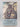 The New Zealand Family from 1840 by Ian Pool,Arunachalam Dharmalingam,Janet Sceats