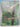 Gardens of the Future : Gestures Against the Wild by Guy Cooper,Gordon Taylor