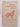 Obedience and field training manual by H Edwin Shaul