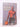 Rebound: the odyssey of Michael Jordan by Bob Greene