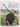 Ireland revisited by Jill Uris