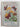 Butterflies and Moths by Illustrated By H Foster Newey Shakespeare Series