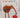 Curious Kiwi words by Max Cryer