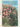 Shrub roses climbers & ramblers by Michael Gibson