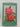 The Rhodedendron and Camellia Year Book 1959 by unknown